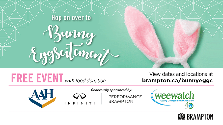 Bunny Eggscitement